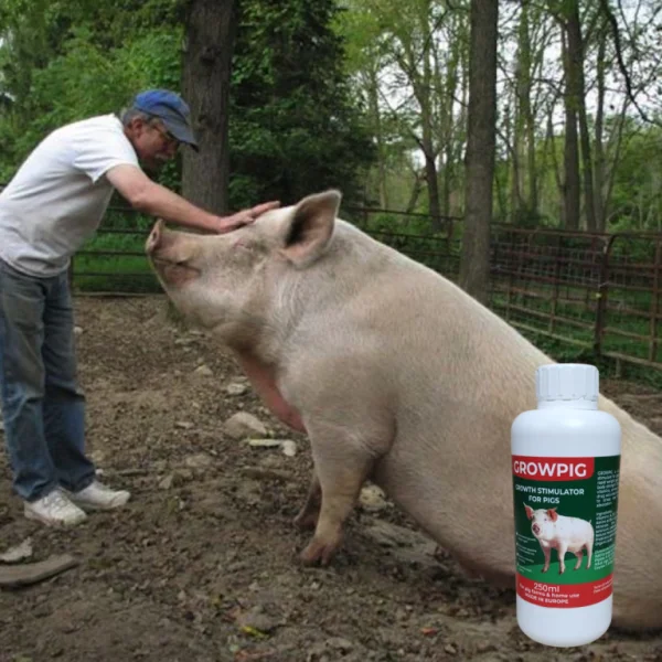 GROWPIG Вирости здорову й міцну свиню до 200 кг — без хвороб і втрат!